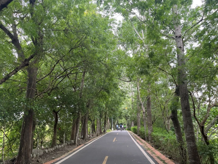 持續推動苗中彰投雲地方 創生熱點！